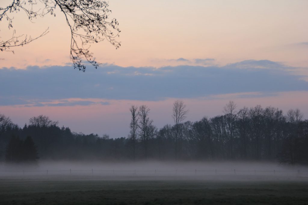 Wiese mit zarter Nebelschicht bei Sonnenuntergang – stiller Übergang als Sinnbild für innere Grenzen und Wandlung
Beschriftung: Nach dem Sturm wird die Luft klar.