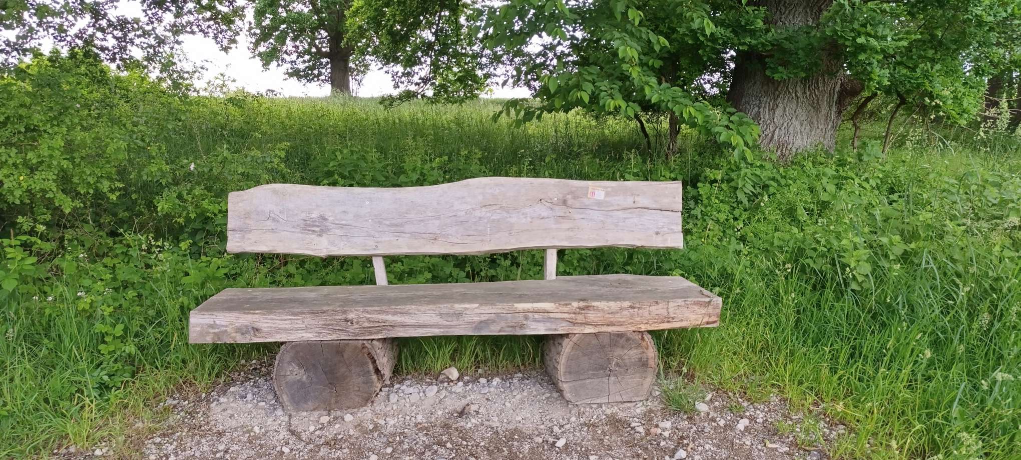 Eine Bank zum Ankommen
