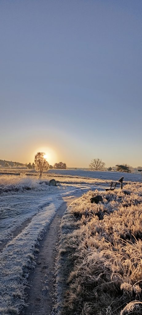 Morgenstimmung in der Heide nach dem ersten Frost am Nikolaustag.