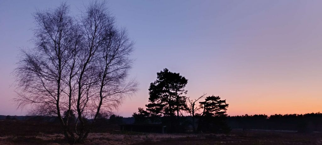 Abendhimmel in sanften Farben über der Landschaft – ein ruhiger Ausklang und Übergang in den nächsten Moment
