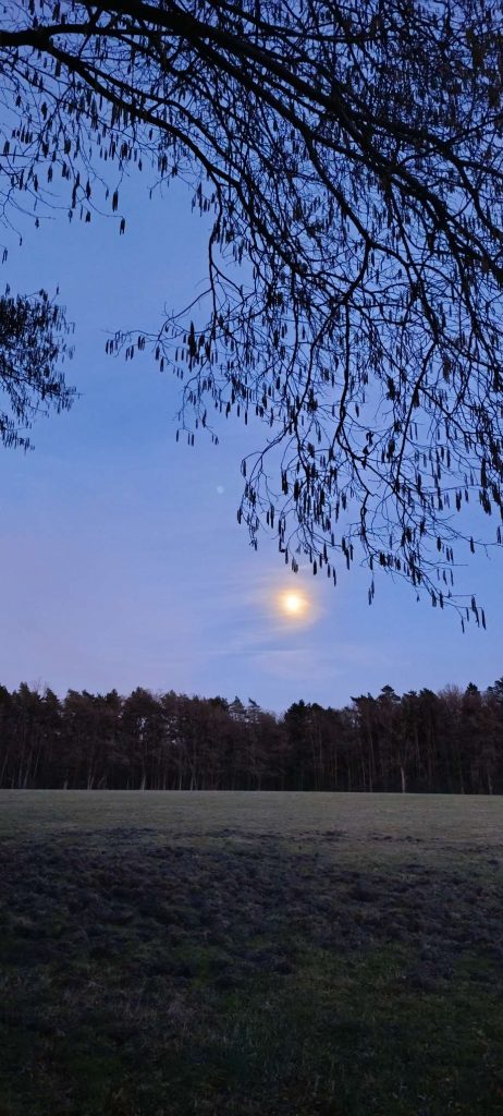 Vollmond über einer ruhigen Landschaft mit Bäumen – Symbol für Wandel, Zwischenzeit und innere Prozesse im März