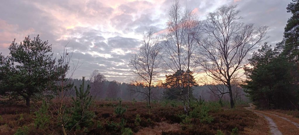Mystische Stimmung beim Sonnenuntergang in der Heidelandschaft kurz vor dem ersten Frost
