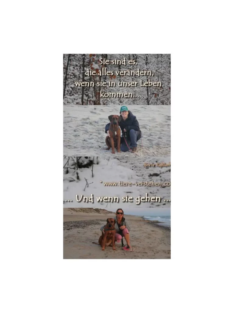 Bildmontage aus zwei Strandfotos mit dem Text „Sie sind es, die alles verändern, wenn sie in unser Leben kommen … und wenn sie gehen"